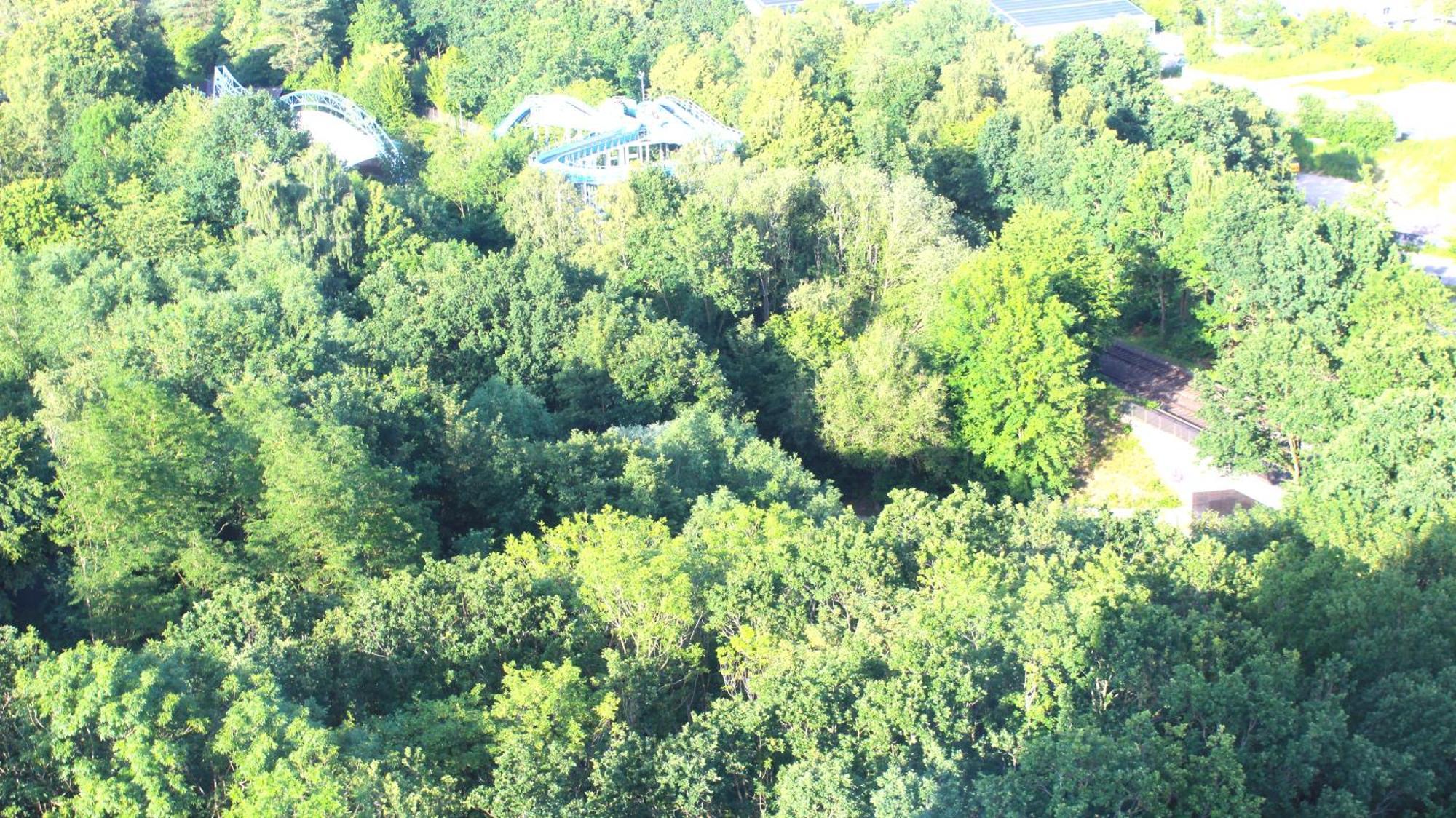 Zum Wohlfuehlen Ferienwohnung Fuer Max 5 Erwachsene Und 1 Kind, Schwimmbad Vor Der Tuer, Tiere Erlaubt Sierksdorf Extérieur photo